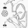 Lühimärkmeid laostumisest / Эксперименты по разложению - Image 9