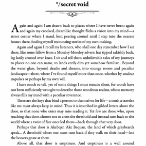 Secret Void